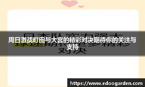 星空XK体育平台